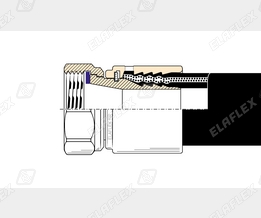 M19-1 NR Cr Schnitt