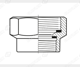 RM Ms Special Type